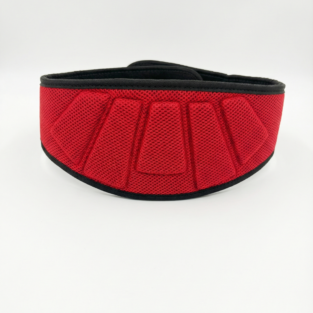 6" REINFORCED NYLON LIFTING BELT - Red