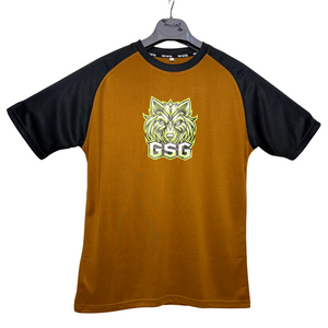 Gym T-Shirt –BROWN | Dry Fit Sportswear for Men