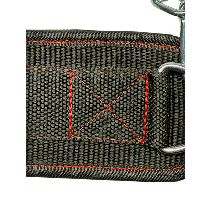 Premium Weightlifting Dip Belt